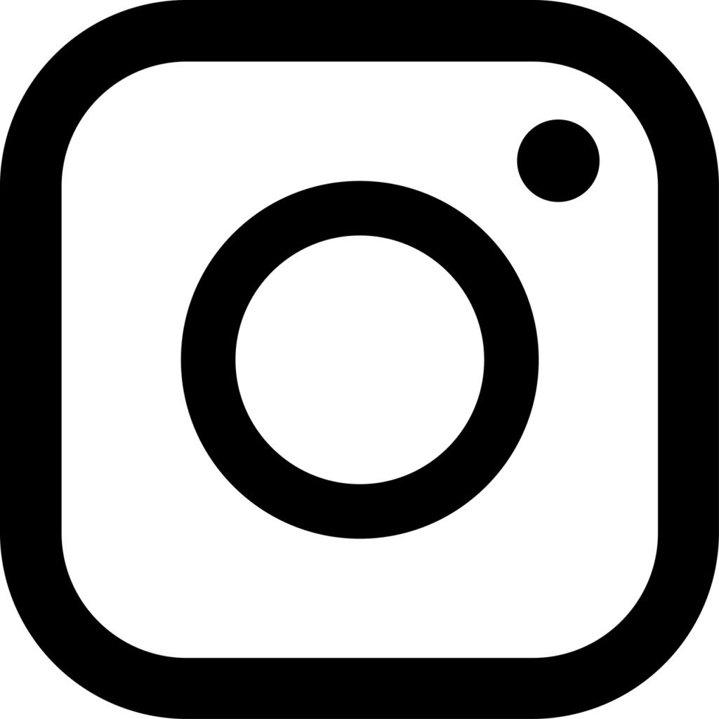icon, essential, instagram logo-1562139.jpg
